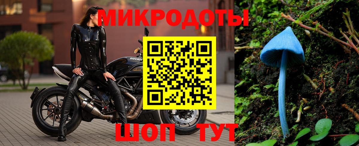 Галлюциногенные грибы прущие грибы  Вход с VPN  Мелеуз 